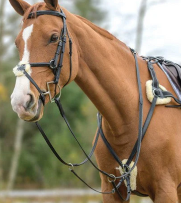 Shires Avignon Five Point Breastplate